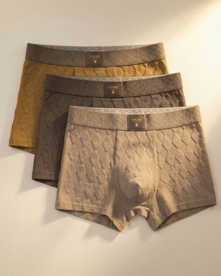 Ashford Cotton Boxer Brief